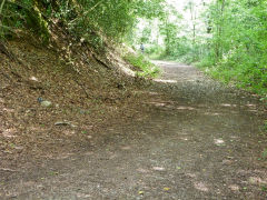 Penllwyn Tramroad trackbed looking East, Wattsville, August 2012